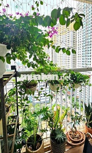 [Chính chủ] Bán căn góc 2PN, Thông Tấn Xã