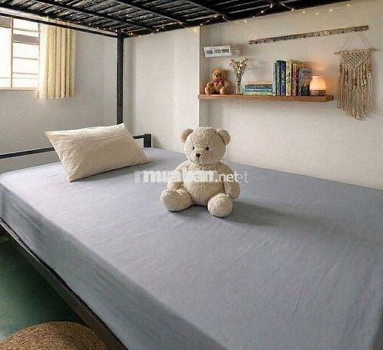 KTX ngay khu chế xuất gần Huỳnh Tấn Phát, giờ giấc tự do