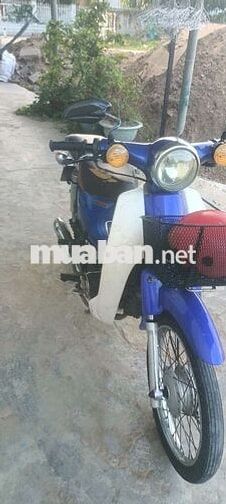 Honda Cub 2019 Xanh Trắng