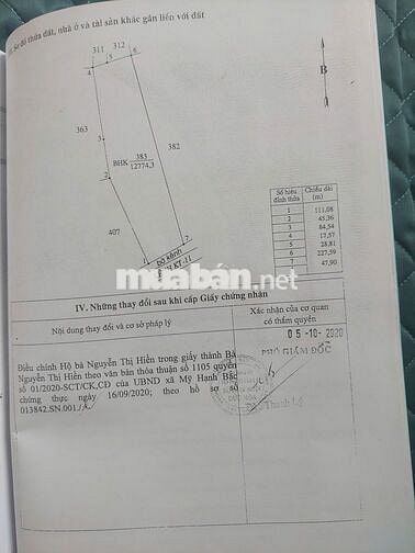 Đất khu rừng sến, Lục Viên, Mỹ Hạnh Bắc, Long An