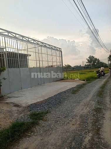 THANH LÝ GẤP ĐẤT ĐẸP THÍCH HỢP LÀM NHÀ VƯỜN , XƯỞNG, NHÀ NGUYỄN CĂN.. 