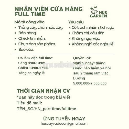 NHÂN VIÊN BÁN HÀNG CÂY CẢNH BA ĐÌNH