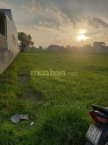 THANH LÝ GẤP ĐẤT ĐẸP THÍCH HỢP LÀM NHÀ VƯỜN , XƯỞNG, NHÀ NGUYỄN CĂN.. 