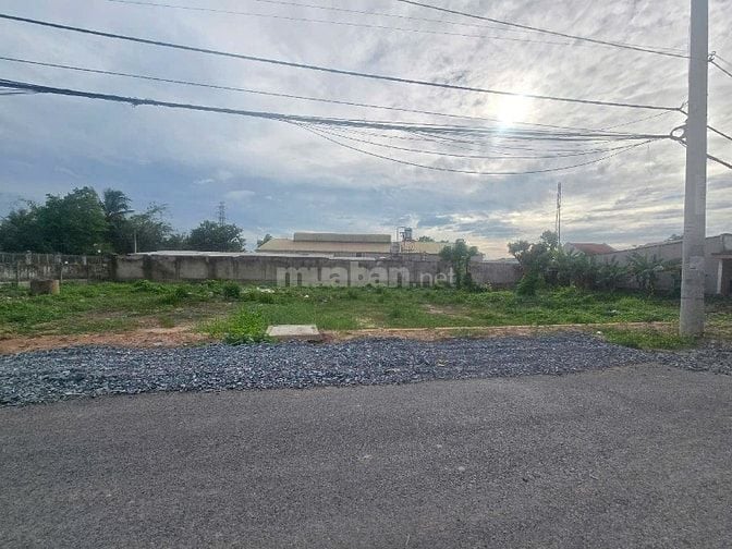 [Bán gấp chính chủ] Đất MT Huỳnh Thị Dần, Bình Mỹ, Củ Chi. GIÁ NGỘP