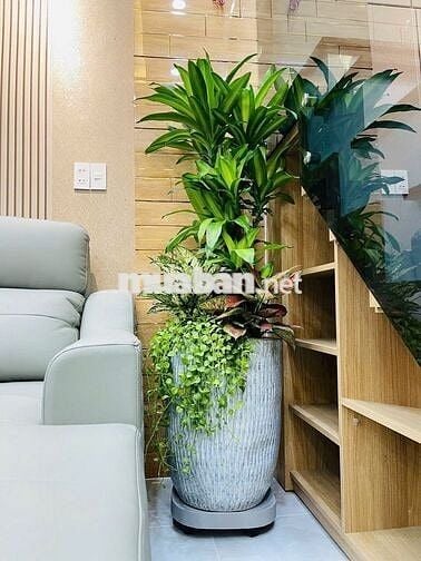 Cho thuê nhà mới full nt 17 triệu ,4m x 14m, 4 lầu, hẻm 5m Lê Đình Cẩn