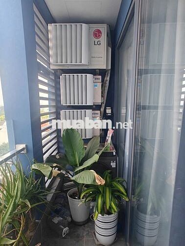 Full NT "Chất" người Trung (Hình thật 100%) TẠI CSKY TDM CHỈ 11TR
