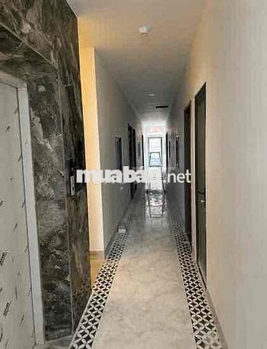cho thuê homestay đường trương định tam hiệp