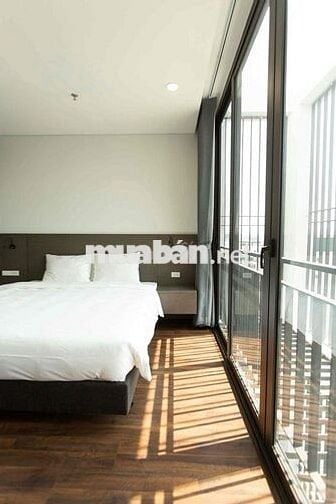 CHO THUÊ CĂN STUDIO TÁCH BẾP SIÊU THOÁNG ĐẸP NGAY TRUNG TÂM QUẬN 1