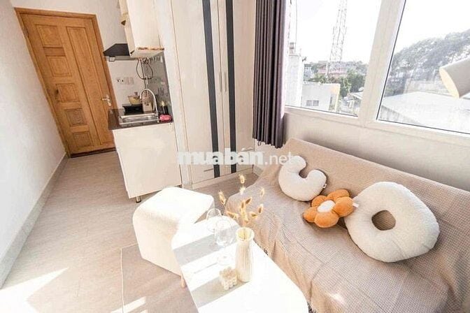 CHDV Cửa sổ lớn_Đón nắng_Thoáng mát_Full NT_Thang máy_Ra vào vân tay