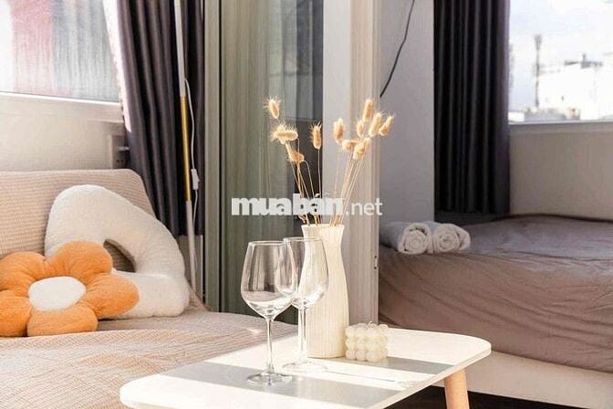 CHDV Cửa sổ lớn_Đón nắng_Thoáng mát_Full NT_Thang máy_Ra vào vân tay