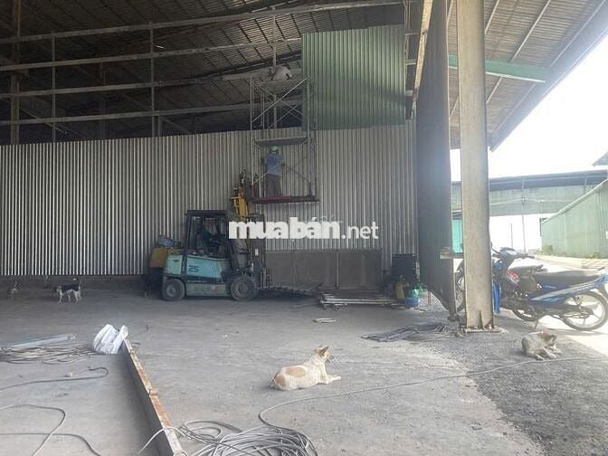 Cho thuê kho xưởng TÂN AN-LONG AN-Kv 10.000m2-Nx 5.000m2