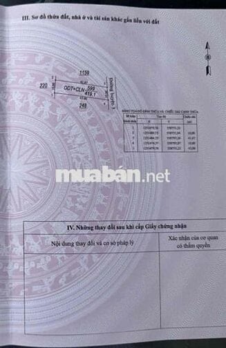 CẦN BÁN ĐẤT MẶT TIỀN ĐƯỜNG D7 – THỊ TRẤN CHÂU THÀNH, TÂY NINH