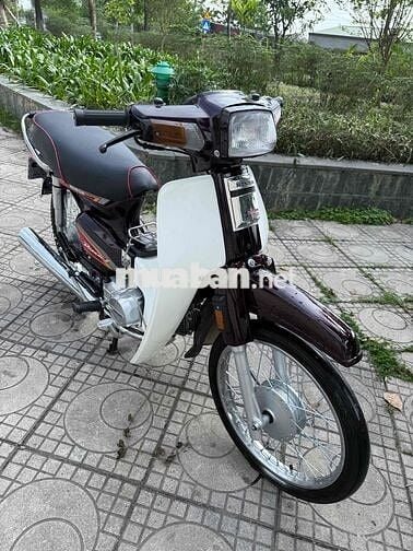 Honda Dream Nâu, Trắng