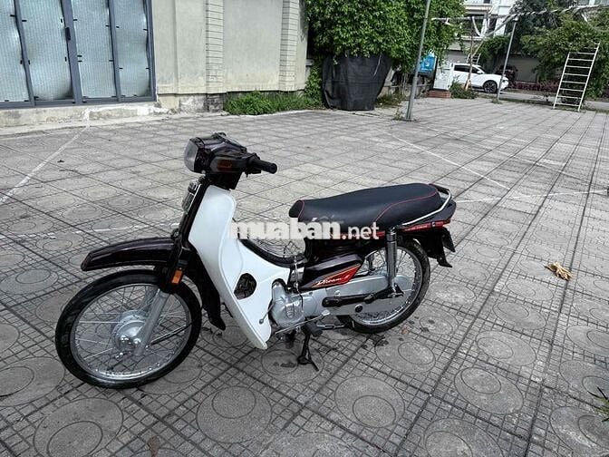 Honda Dream Nâu, Trắng