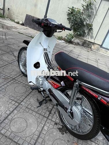 Honda Dream Nâu, Trắng