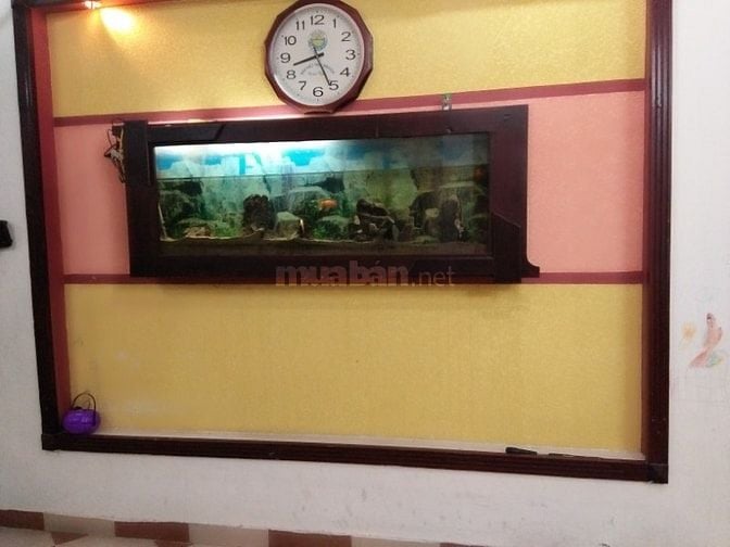 HOMESTAY BỜ BIỂN XANH  - CHO THUÊ PHÒNG NGÕ 105 LÁNG HẠ - YÊN LÃNG 