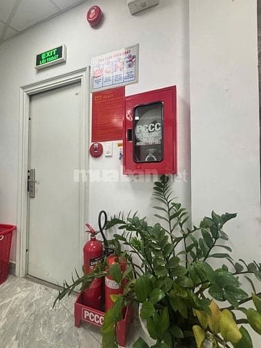 Bán tòa nhà 8L 209m2 ngang 11m+hầm TN135tr MTKD Nguyễn Văn Đậu 43.8 tỷ
