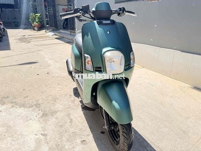 cần bán Cuxi Xanh rêu biển 43