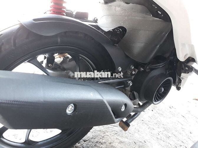 VELIA 50cc Trắng 2000 km