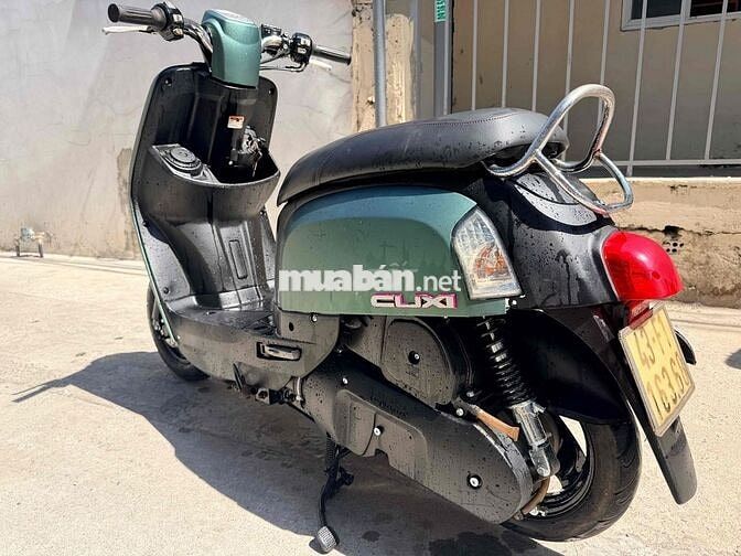 cần bán Cuxi Xanh rêu biển 43