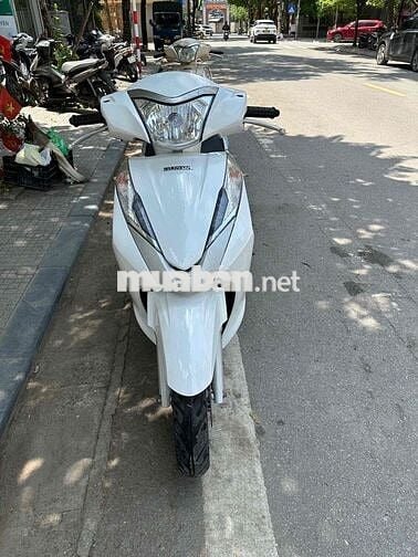 Honda Lead 2014 Trắng