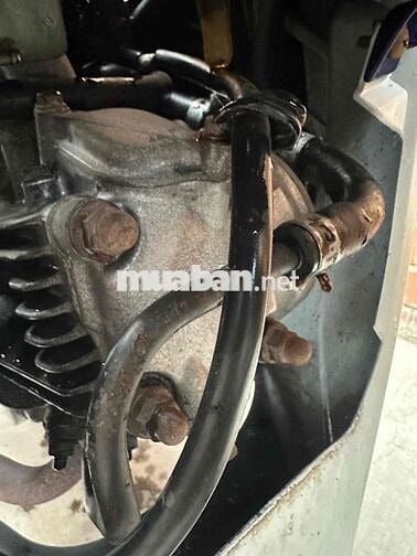 Suzuki Axelo 125 Xanh trắng Zin