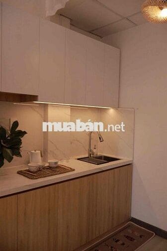 CĂN NHÀ MINI GIỮA LÒNG THÀNH PHỐ THỦ DẦU MỘT - CÓ DÒNG TIỀN SẴN