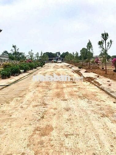 chỉ 1.8 tỷ sở hữu 100m2 đất khu kim cương Tùng Thiện Sơn Tây