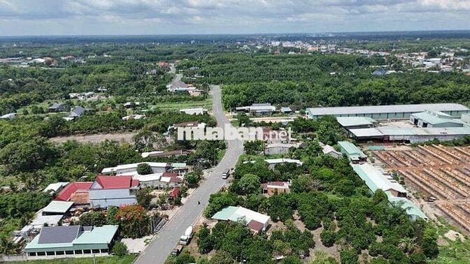 300tr mua được đất trung tâm chơn thành