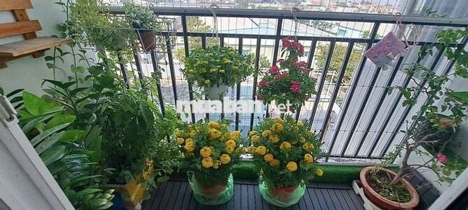 Chính chủ bán căn hộ HLPĐ, giá mềm 3,5 tỷ, sổ hồng riêng, giáp Thủ Đức