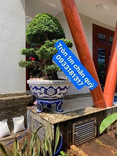 Chậu hoa _ chậu cảnh _ chậu hoa khảm miễng chén dĩa, ghép sành sứ _ ch