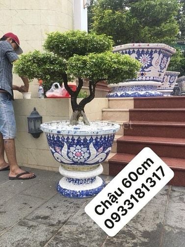 Chậu hoa _ chậu cảnh _ chậu hoa khảm miễng chén dĩa, ghép sành sứ _ ch