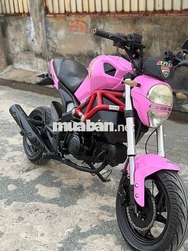 Ducati mini