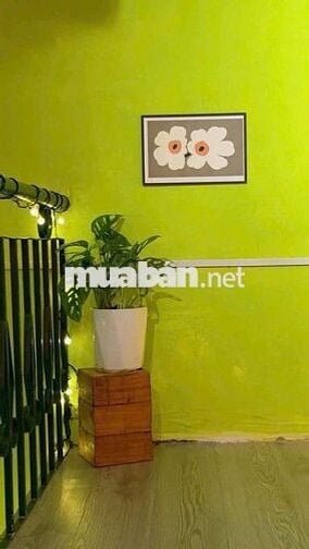 Cho thuê Chung Cư. Đường Trần Hưng Đạo. Phường Bến Thành. Quận 1