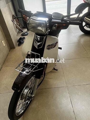Honda Super Dream 2009 Trắng, Đen