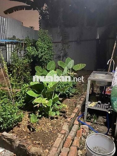 BÁN ĐẤT TẶNG NHÀ HIỆP HOÀ (phường Trấn Biên)