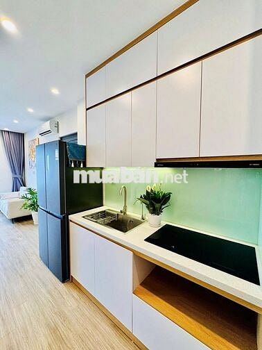 Giá thật: Studio 33.8m2 gía 2.3 tỷ, The Sapphire Vinhome Smart City