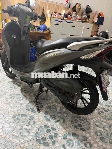 Kymco Candy 50cc 2023 Xám