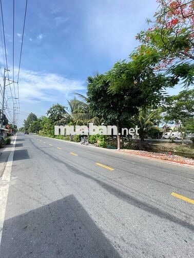 Mặt tiên Lê Đình Chi- Bình Chánh- 4x22m- Gía 3.xTỷ 