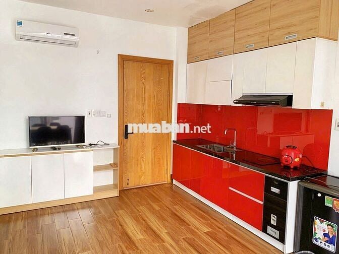 Căn hộ 2 phòng ngủ cho thuê gần Cầu Rồng, Võ Văn Kiệt, full nội thất