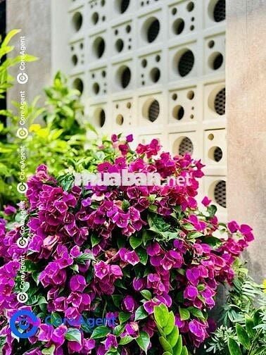 🏢CĂN HỘ MINI FULL NỘI THẤT CÓ MÁY GIẶC RIÊNG NẰM GẦN KHU TÊN LỬA