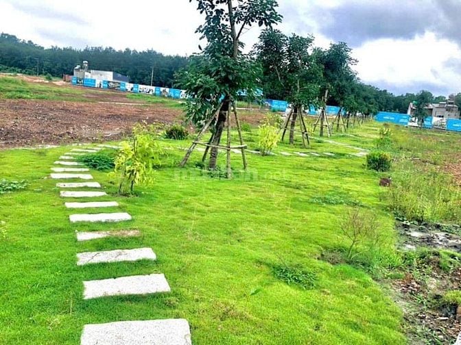 Bán đất 5X15 khu Phân Lô Xã Tiến Hưng, Đồng Xoài Bình Phước Cũ