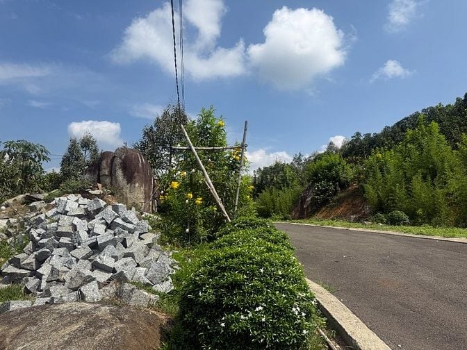 Do ở xa không tiện quản lý  cần bán đất 800m2 gần khu nghỉ dưỡng Catus