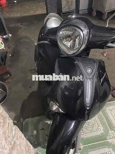 Yamaha Janus 2023 Đen chính chủ