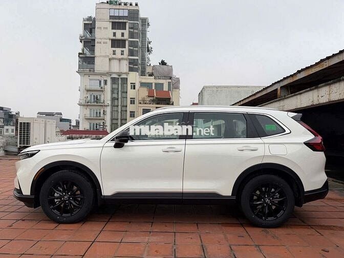 Honda CR-V e:HEV RS  2026  Đủ màu - giao ngay
