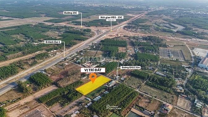BÁN 6.000M² ĐẤT CÂY LÂU NĂM PHÚ THẠNH - NHƠN TRẠCH 