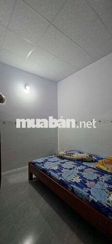 BÁN GẤP NHÀ 173M2 Ở TÂN THÔNG HỘI CỦ CHI GIÁ 730 TRIỆU SỔ HỒNG RIÊNG 