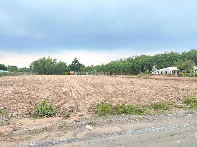BÁN 6.000M² ĐẤT CÂY LÂU NĂM PHÚ THẠNH - NHƠN TRẠCH 