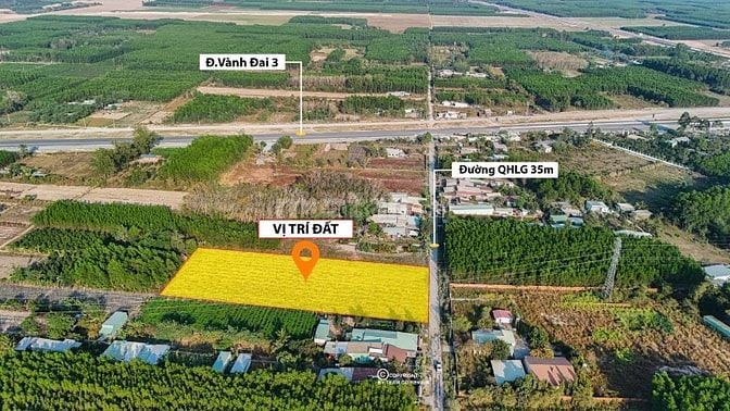 BÁN 6.000M² ĐẤT CÂY LÂU NĂM PHÚ THẠNH - NHƠN TRẠCH 