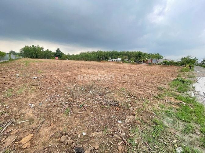BÁN 6.000M² ĐẤT CÂY LÂU NĂM PHÚ THẠNH - NHƠN TRẠCH 